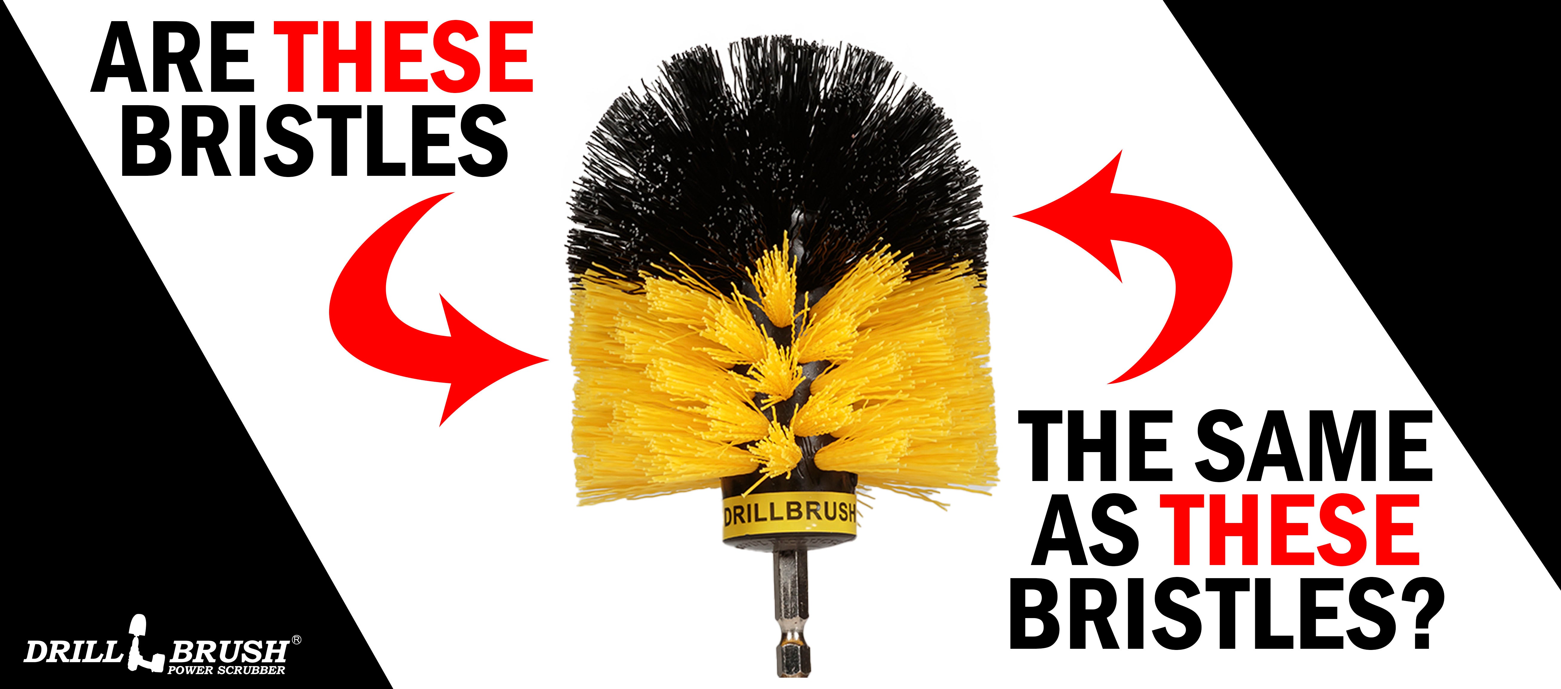 Is the Black Tip on Original Brushes Stiffer Than the Rest of the Brush?