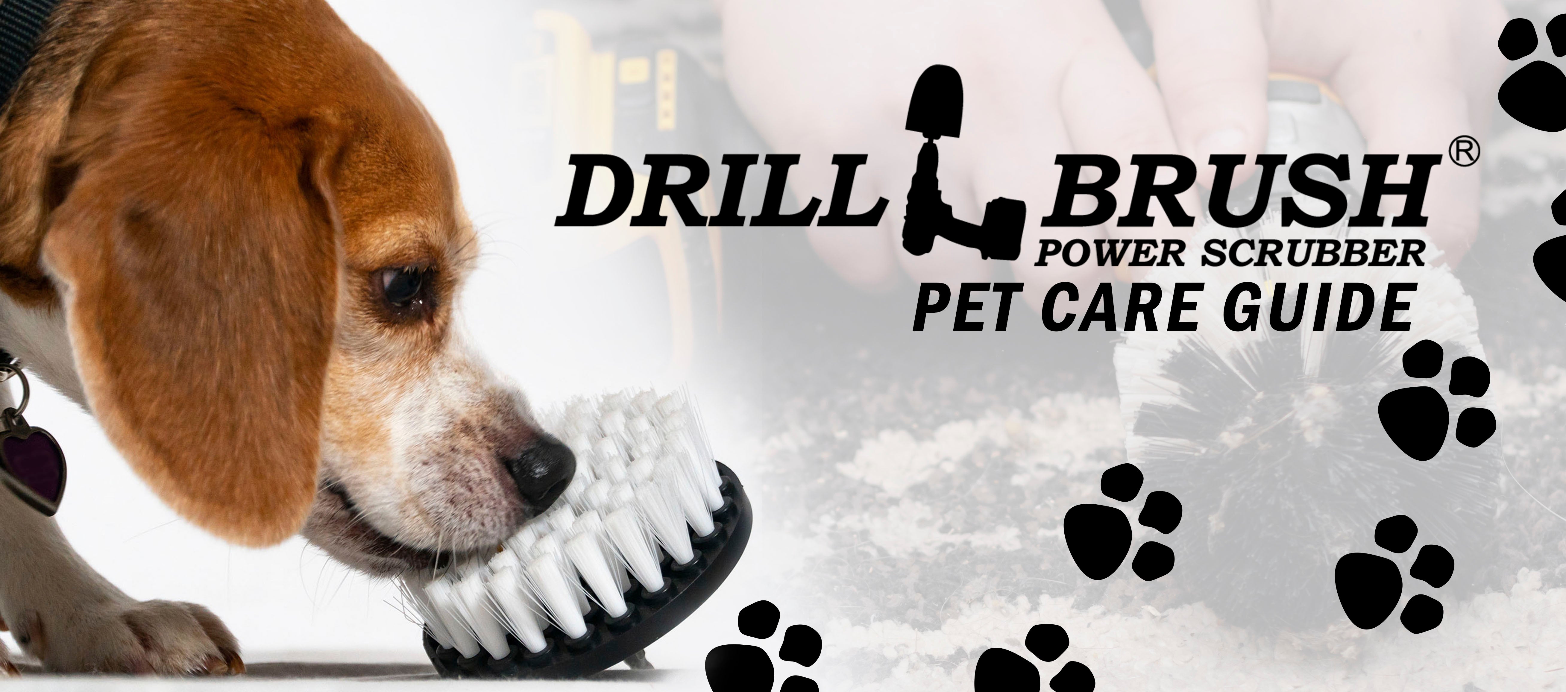 A Speedy Solution for Cleaning Up After Your Pets - Drillbrush Pet Guide