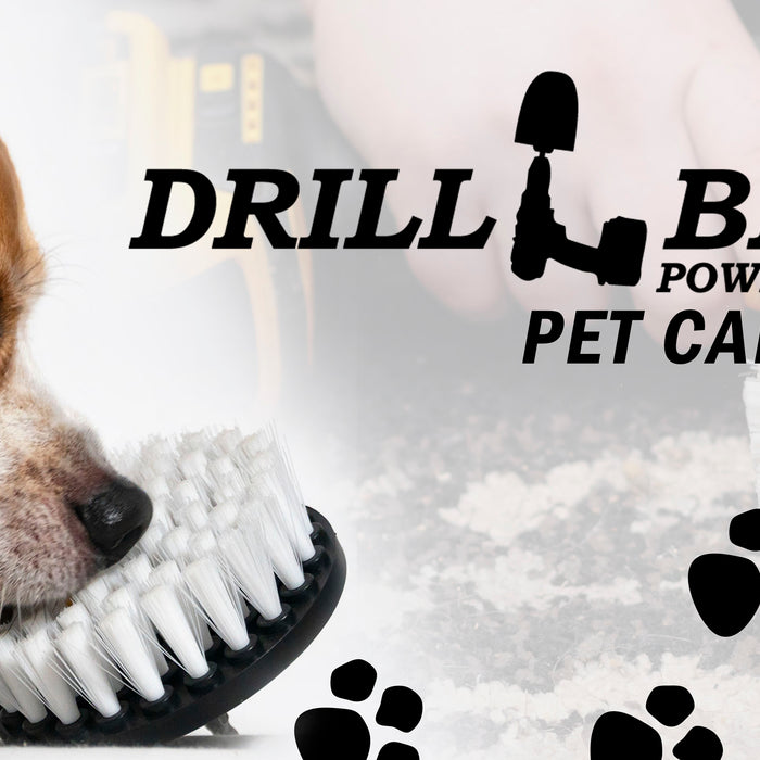A Speedy Solution for Cleaning Up After Your Pets - Drillbrush Pet Guide