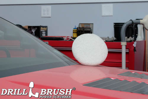8 Inch Diameter White Fine Replacement Polishing Pad